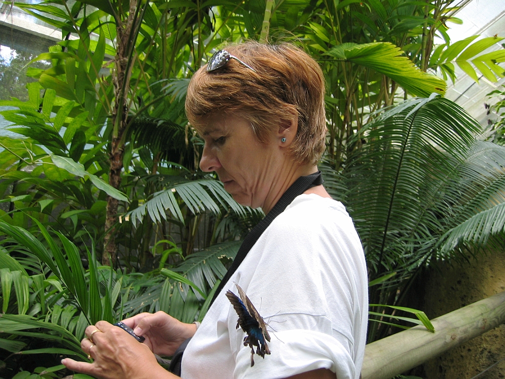 089 Kuranda Butterfly Sanctuary.jpg